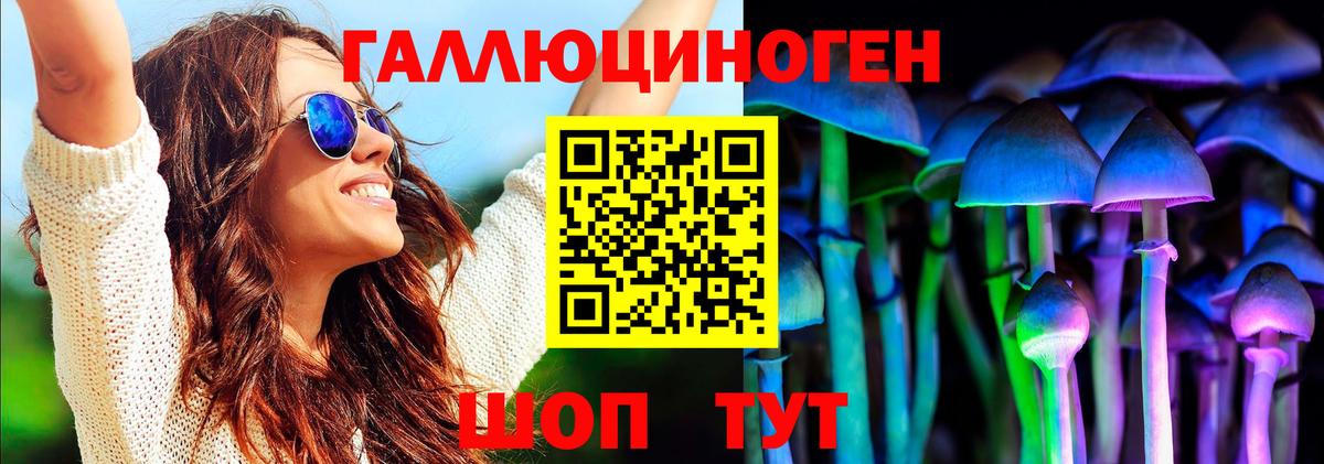 Галлюциногенные грибы Cubensis  Вход с VPN  Котлас 